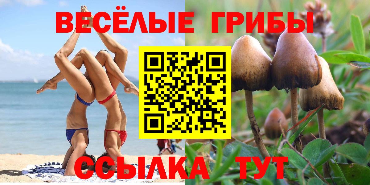 Псилоцибиновые грибы Psilocybe  Вход с VPN  Галлюциногенные грибы GOLDEN TEACHER  Советск 